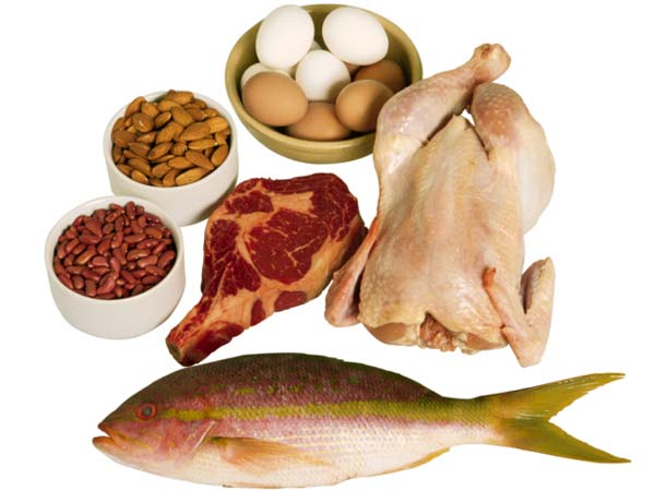 1. புரோட்டின்