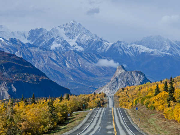 அலஸ்கா : 