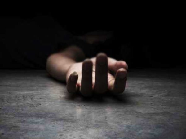 மேலும் உறுப்புகள்!