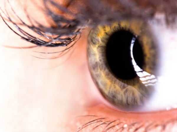 துல்லியமான பார்வை : 