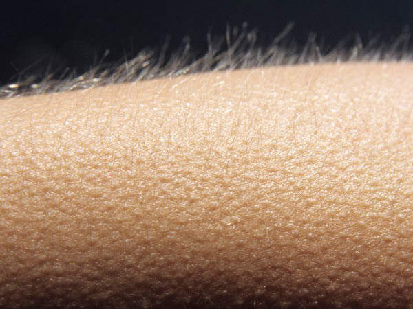 அலைபரப்பி பில்லி தசைகள்!