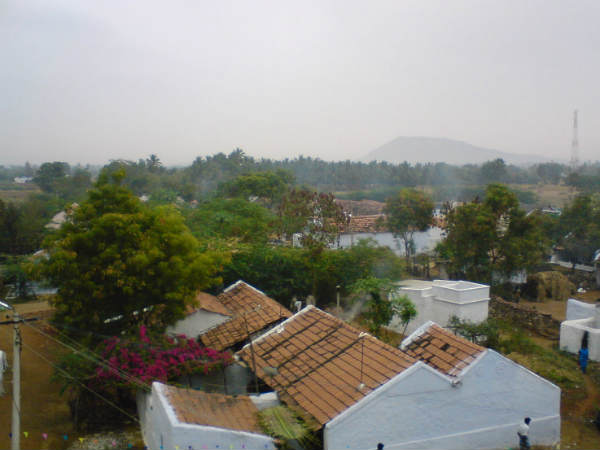 பாட்டி மீது காதல் : 