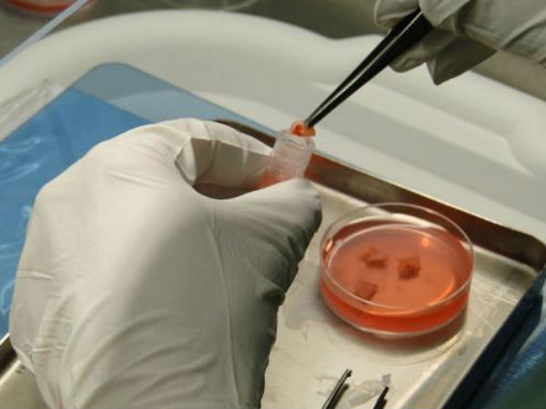 உறைநிலையில் கருமுட்டை : 