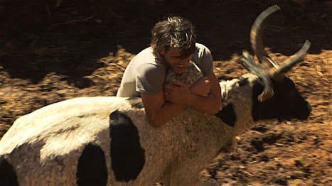 ஜல்லிக்கட்டு!