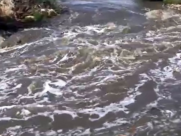 சோப்பு நுரை அமைச்சர்!