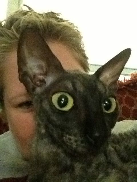 செல்ஃபீ #8