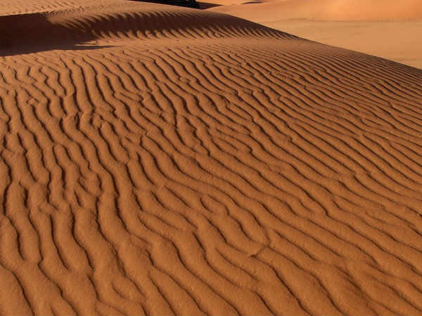 பாலைவனம்!