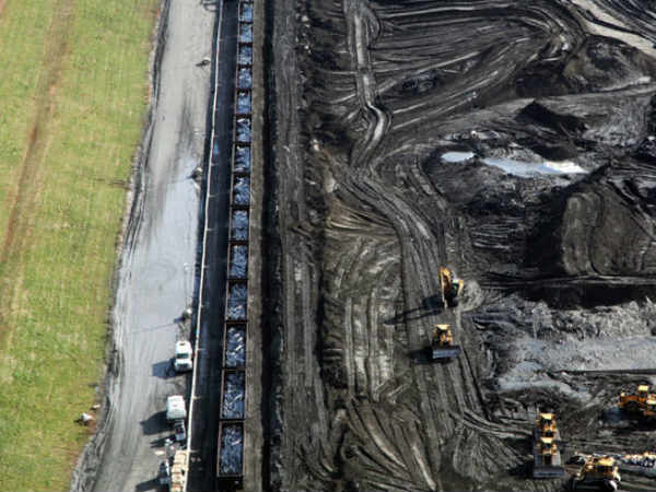  கிங்க்ஸ்ட்டன் ஃபோசில் ப்ளாண்ட் : 