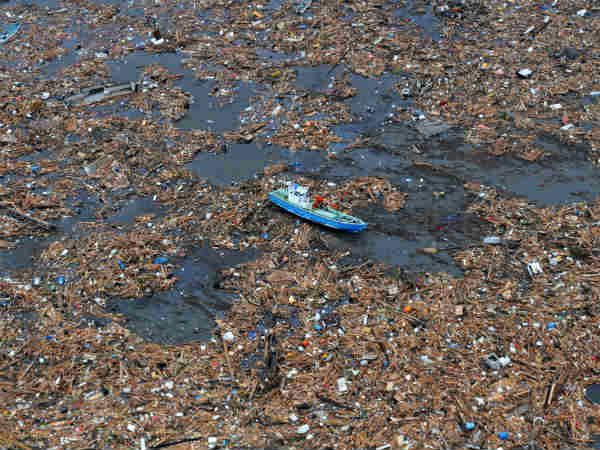  பசிபிக் கடல் : 