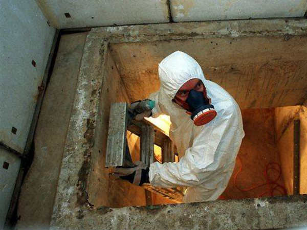 லிப்பி : 