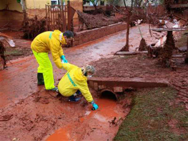 சையனைட் : 