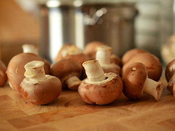 மலட்டுத்தன்மை