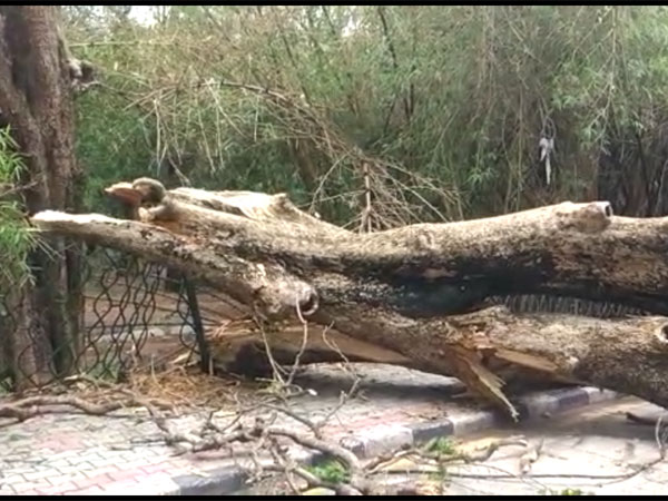 #02 மேன் ஆப் ஸ்லிகோ! #02 மேன் ஆப் ஸ்லிகோ!