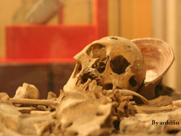 #15 நரமாமிச தாக்குதல்! #15 நரமாமிச தாக்குதல்!