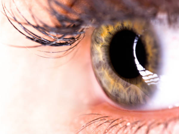 Gene therapy to cure blindness Gene therapy to cure blindness