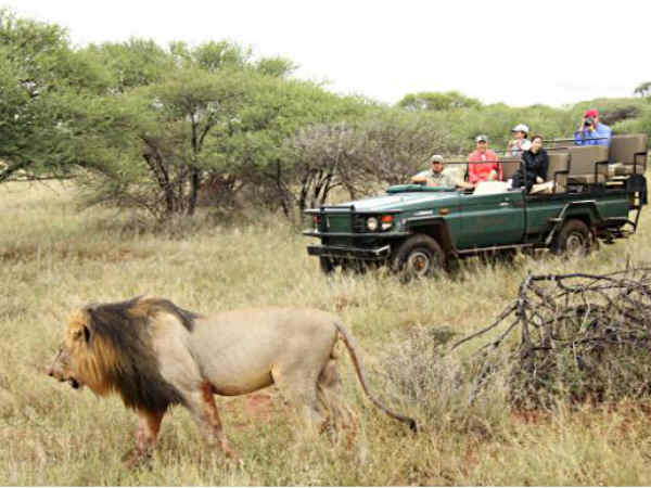 ஜீப் பயணம் : 