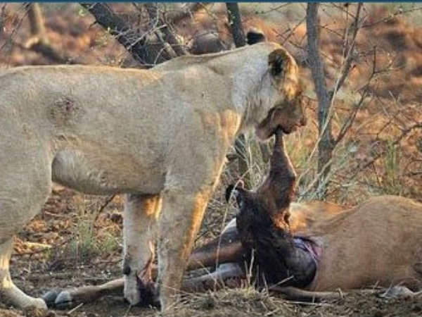 மன்னித்து விடு : 