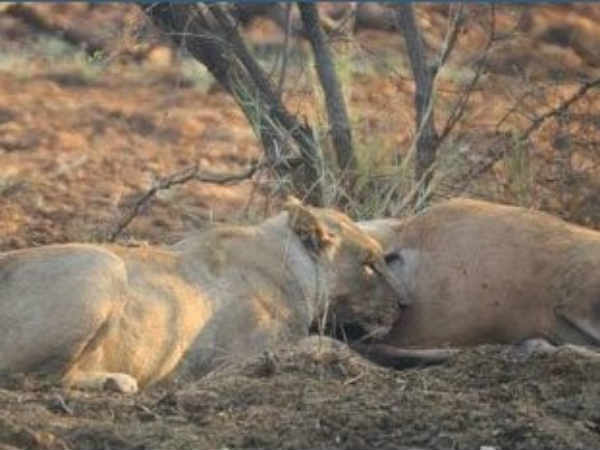 குற்ற உணர்ச்சி : 