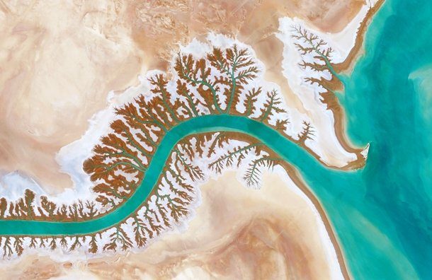 #20 ஷேடகன் லாகூன் #20 ஷேடகன் லாகூன்