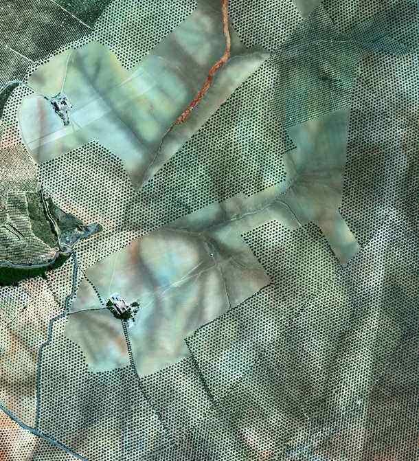 #17 ஆலிவ்ஸ் #17 ஆலிவ்ஸ்