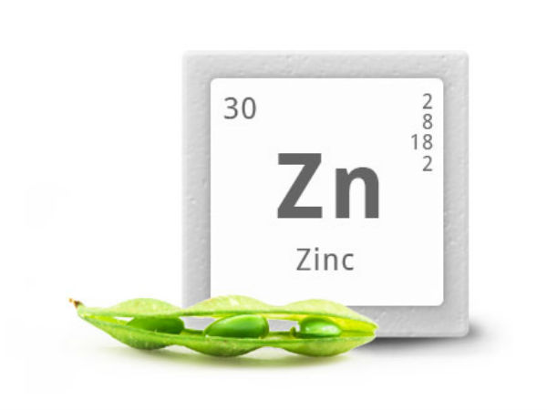Zinc rich foods prevent formation of cancer cells