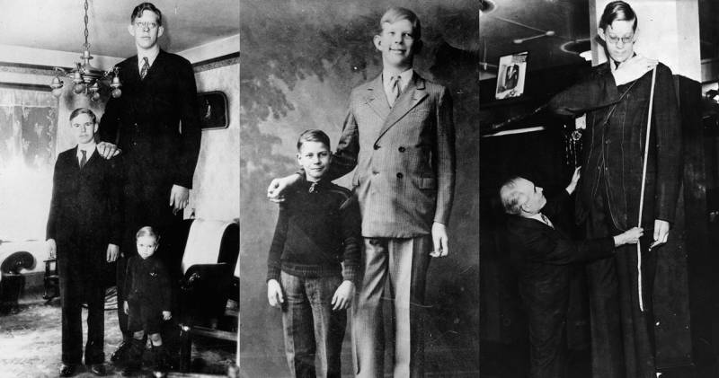 உயரமான மனிதர்! உயரமான மனிதர்!