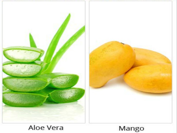 கற்றாழை மற்றும் மாம்பழம் :