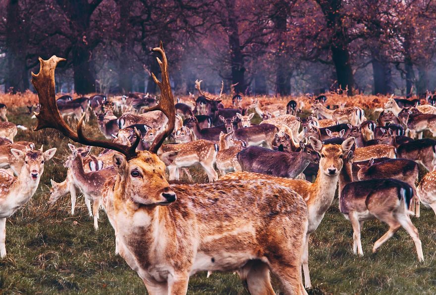 கூந்தல்!