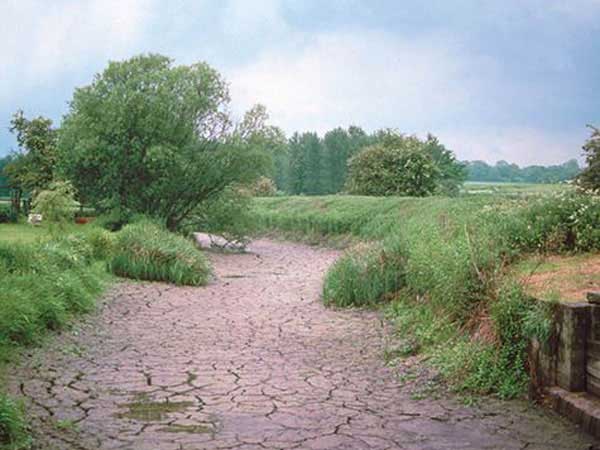 ஓராண்டில்...