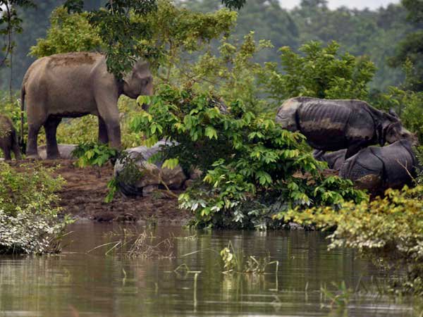 200 ஆண்டுகளில்...