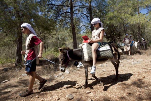 கழுதை பயணம்! கழுதை பயணம்!
