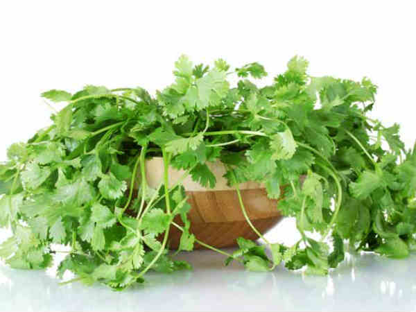 health benefits of coriander leaves