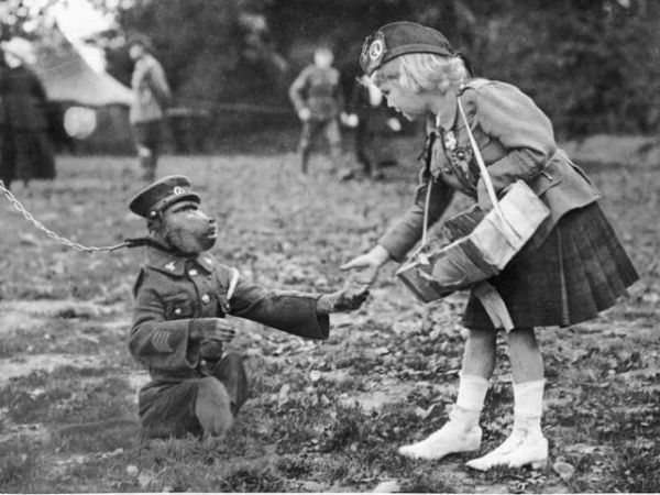 பதவி உயர்வு!