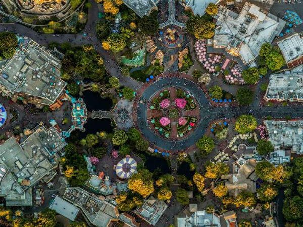 வால்ட் டிஸ்னி