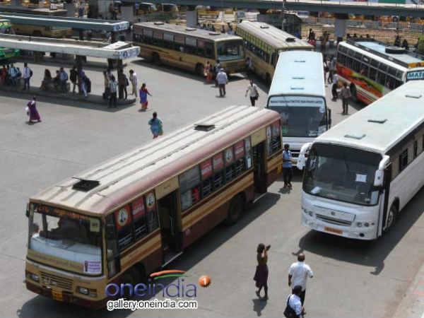 பேருந்து : 