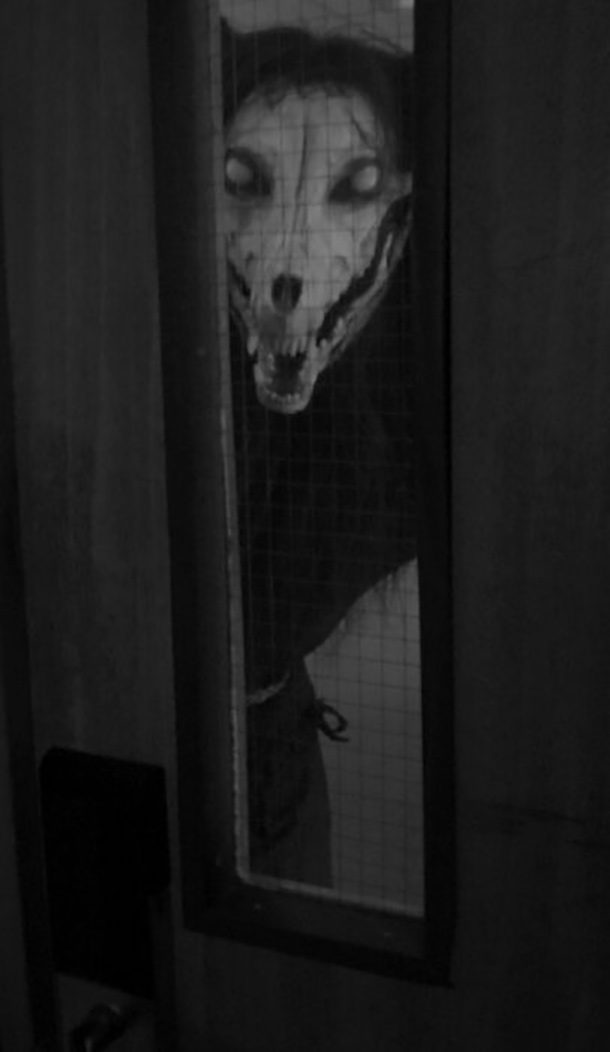 விசித்திர எலும்பு கூடு... விசித்திர எலும்பு கூடு...