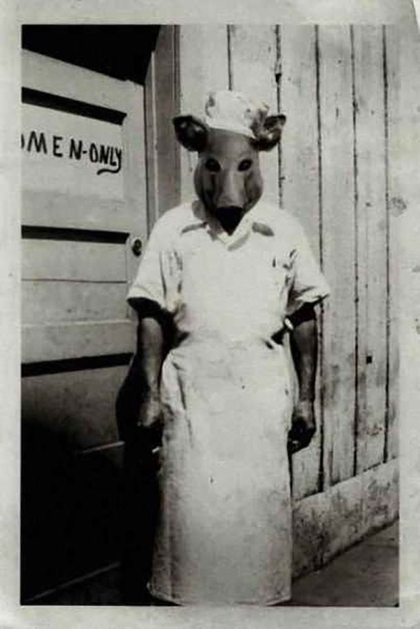 பன்றி பன்றி