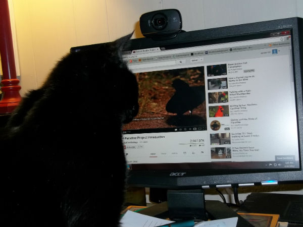 தாரத்திற்கும், மகளுக்கும்...