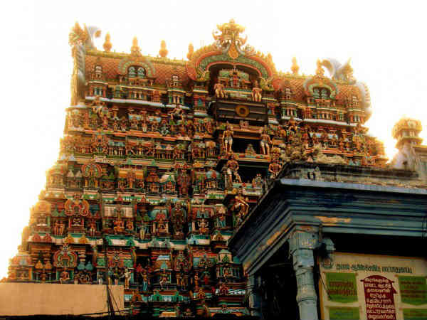 திருநெல்வேலி :