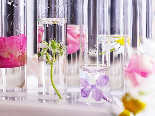 இயற்கை வாசனைப் பொருட்கள் :