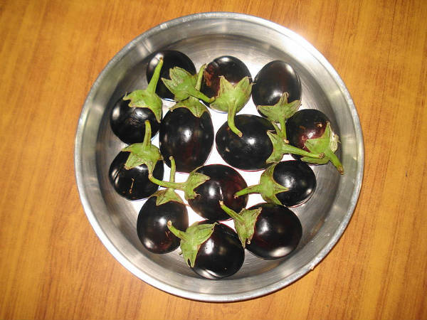 கத்திரிக்காய் :