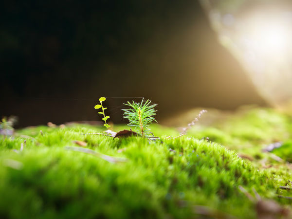 உண்டு, உறங்கும்!