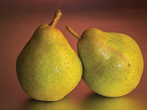 பேரிக்காய் : 