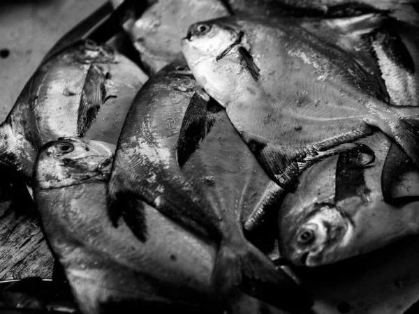 சோனாவின் வாழ்வில்...