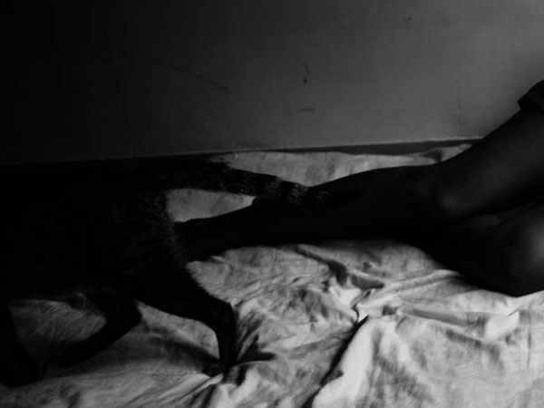 வால்சனின் வாழ்வில்...