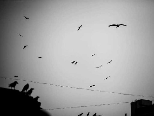 அர்ஷியாவின் வாழ்வில்...