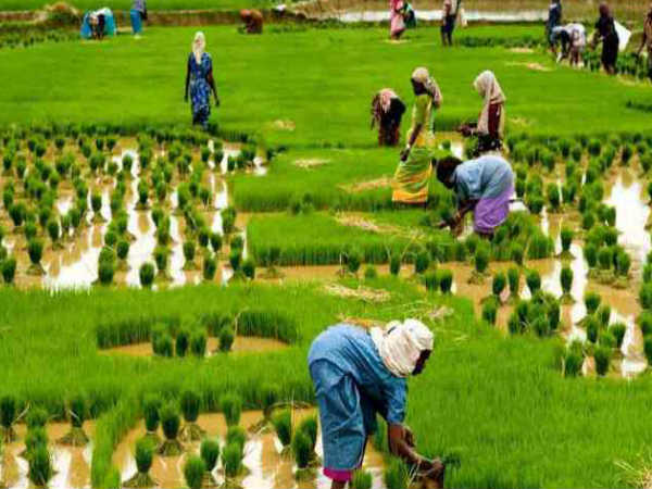 10. வயல் வெளிக்கு :