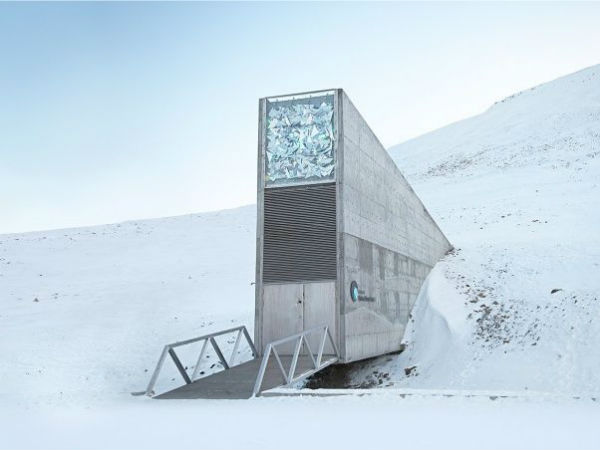 விதை வங்கி!