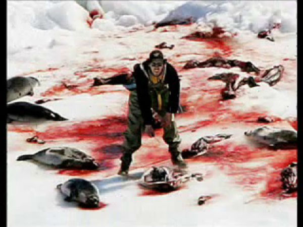 நீர்நாய்