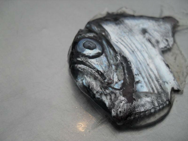 எந்த இடத்தில்?